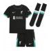 Camiseta Liverpool Harvey Elliott #19 Visitante Equipación para niños 2024-25 manga corta (+ pantalones cortos)